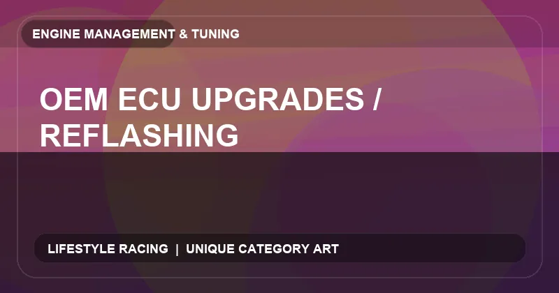 OEM ECU Upgrades / Reflashing